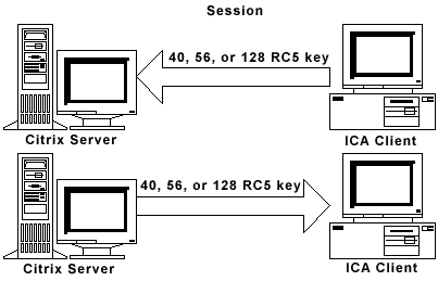 session.gif (5233 bytes)